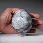 Genuine Polished Ocean Jasper 3" Egg With Acrylic Display Stand