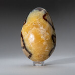 Genuine Polished Septarian 2.75" Egg With Acrylic Display Stand