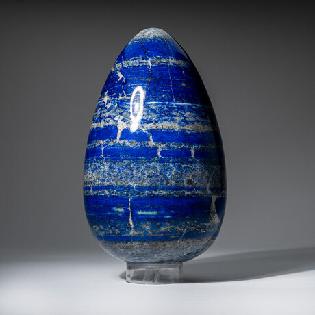 Genuine Polished Lapis Lazuli Egg With Acrylic Display Stand // 7.9lb