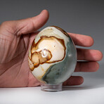 Genuine Polished Polychrome 3.5" Egg  With Acrylic Display Stand // 1.3lb