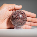 Genuine Polished Garnet Sphere 2.25" With Acrylic Display Stand