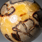 Genuine Polished Septarian 4.5" Sphere With Acrylic Display Stand