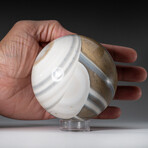 Genuine Polished White Banded Agate 3" Sphere With Acrylic Display Stand