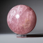 Genuine Polished Rose Quartz 3.25" Sphere With Acrylic Display Stand