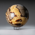 Genuine Polished Septarian 4.5" Sphere With Acrylic Display Stand