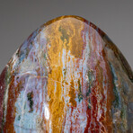 Huge Genuine Polished Ocean Jasper Egg With Acrylic Display Stand