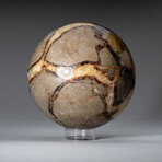 Genuine Polished Septarian 4.5" Sphere With Acrylic Display Stand