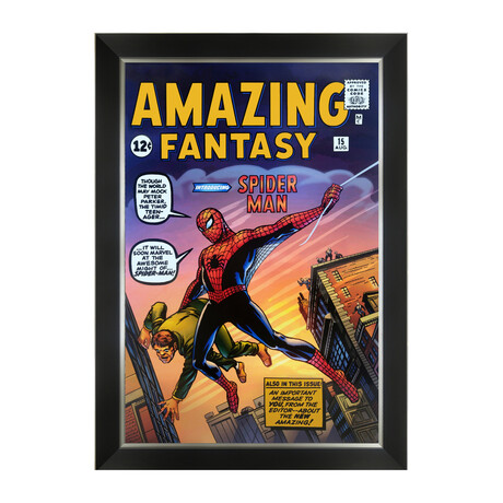 Amazing Fantasy // First Appearance of Spider Man // Framed Art Print