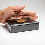 Genuine Black Onyx With Ammonite Jewelry Box