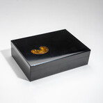 Genuine Black Onyx With Amber Jewelry Box