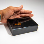 Genuine Black Onyx With Amber Jewelry Box