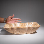 Genuine Polished Honey Onyx Bowl From Pakistan