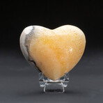 Genuine Polished Banded Honey Onyx Heart From Mexico With Acrylic Display Stand