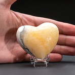 Genuine Polished Banded Honey Onyx Heart From Mexico With Acrylic Display Stand