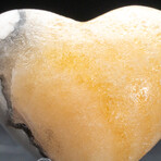 Genuine Polished Banded Honey Onyx Heart From Mexico With Acrylic Display Stand