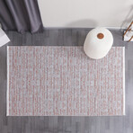 Chenille Woven Rug // Terra (2.5' x 4.9')