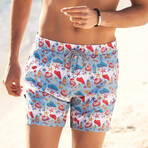Arthur Swim Shorts // Multicolor (XL)