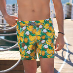 Shane Swim Shorts // Multicolor (2XL)