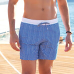 Niall Swim Shorts // Blue (2XL)