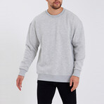 Sweatshirt // Gray (S)