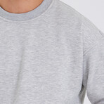 Sweatshirt // Gray (S)