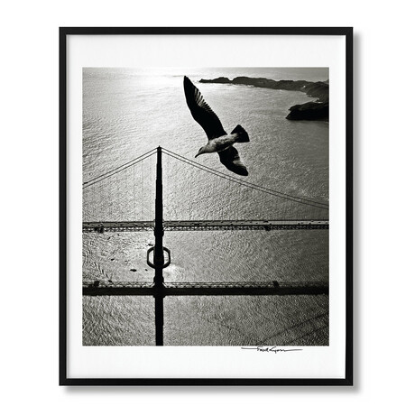 San Francisco // Portrait of a City, Art Edition No. 76–150 'Seagull over Golden Gate Bridge, Early 1950s'