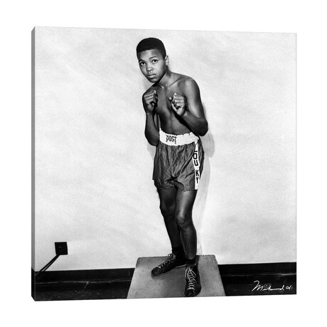 12 Year Old Cassius Clay // Muhammad Ali Enterprises (12"W x 12"H x 1.5"D)