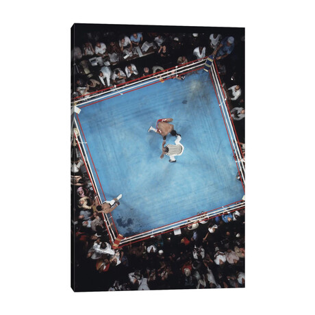 Rumble In The Jungle // Muhammad Ali Enterprises (12"W x 18"H x 1.5"D)