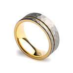 The Thor Ring // Silver + Gold (10)