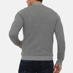 Islandia College Collar Zip Up Sweatshirt // Gray (S)