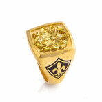 Coat of Arms Signet Ring // Style 1 // Gold (6)