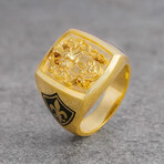 Coat of Arms Signet Ring // Style 1 // Gold (6)