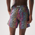 Rainbow Abstract Print Swim Shorts // Multi (2XL)