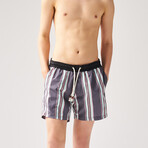 Striped Swim Shorts // Anthracite + Multi (L)