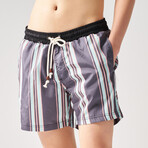 Striped Swim Shorts // Anthracite + Multi (S)