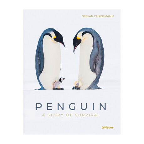 Penguin // A Story of Survival