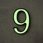 9 // Glow in the Dark House Number // Green