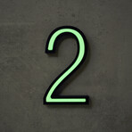 2 // Glow in the Dark House Number // Green