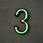 3 // Glow in the Dark House Number // Green