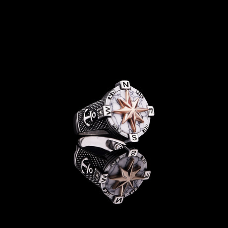 Compass Ring with White Turquoise (5)