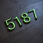 6 // Glow in the Dark House Number // Green