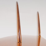 Half-Surfboard Shelf