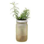 Herb Garden Jar // Organic Rosemary
