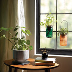 Herb Garden Jar // Organic Cilantro
