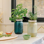 Herb Garden Jar // Organic Basil