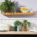 Herb Garden Jar // Organic Parsley