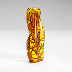 Natural Gem-quality Polished Amber + System of Tree Branch Inclusions from Columbia