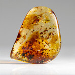 Natural Gem-quality Polished Amber with Insects and Organic Inclusions // 20.4 g