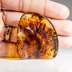 Natural Gem-quality Polished Amber with Insects and Organic Inclusions // 14.5 g