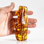 Natural Gem-quality Polished Amber + System of Tree Branch Inclusions from Columbia